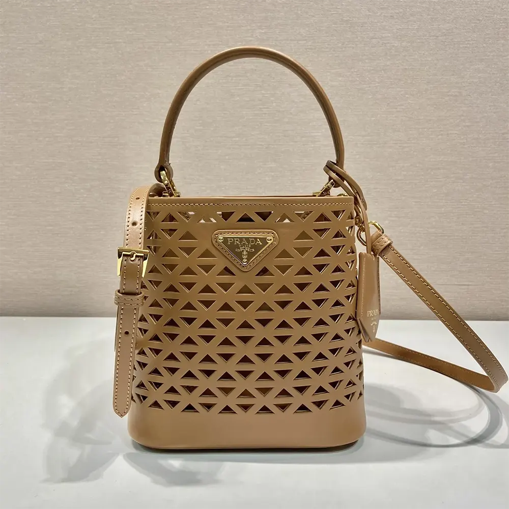 Close-up detail of brown leather and gold hardware on Prada Women Panier Mini-bag