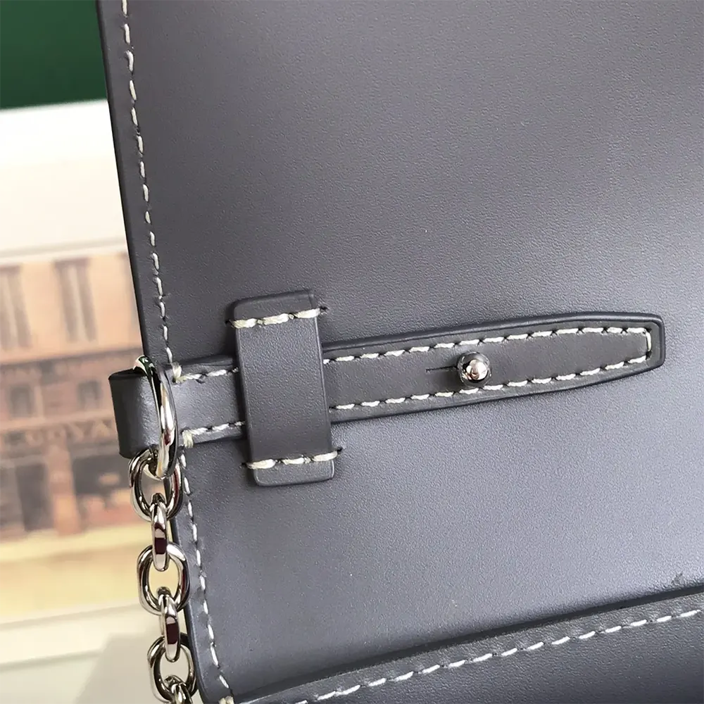 Goyard Unisex Duchesse Marie Caroline Bag-Grey - image 8