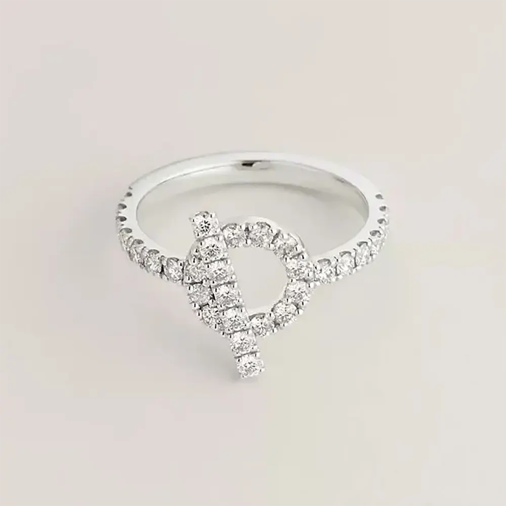 Close-up of Hermes Women Finesse Ring H219610B silver band
