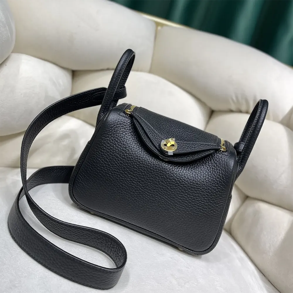 Close-up of gold hardware on Hermes Women Lindy Mini 19