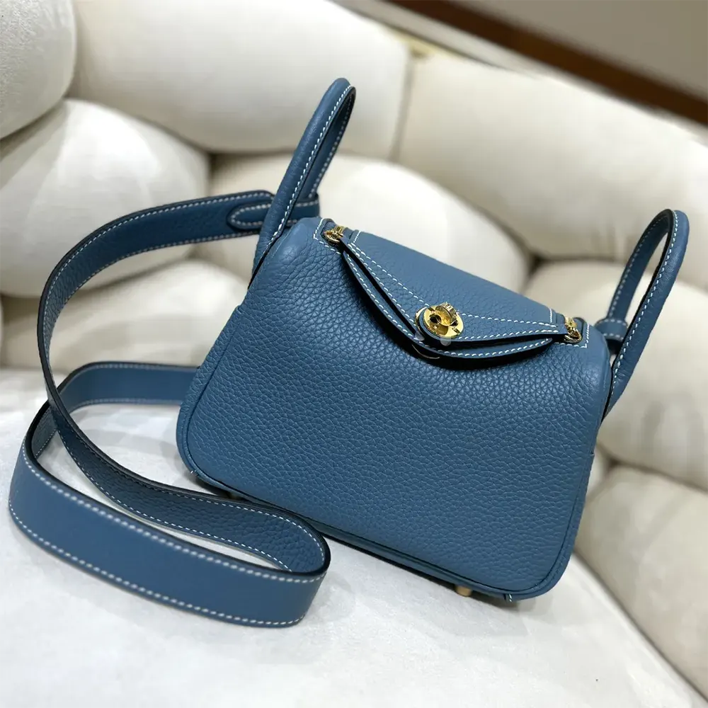 Close-up of gold hardware clasp on Hermes Lindy Mini 19 shoulder bag