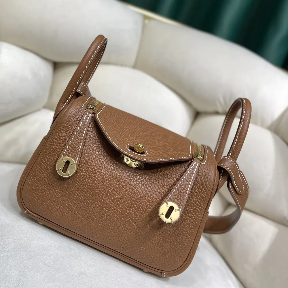 Close-up of gold hardware on Hermes Lindy Mini 19 shoulder bag