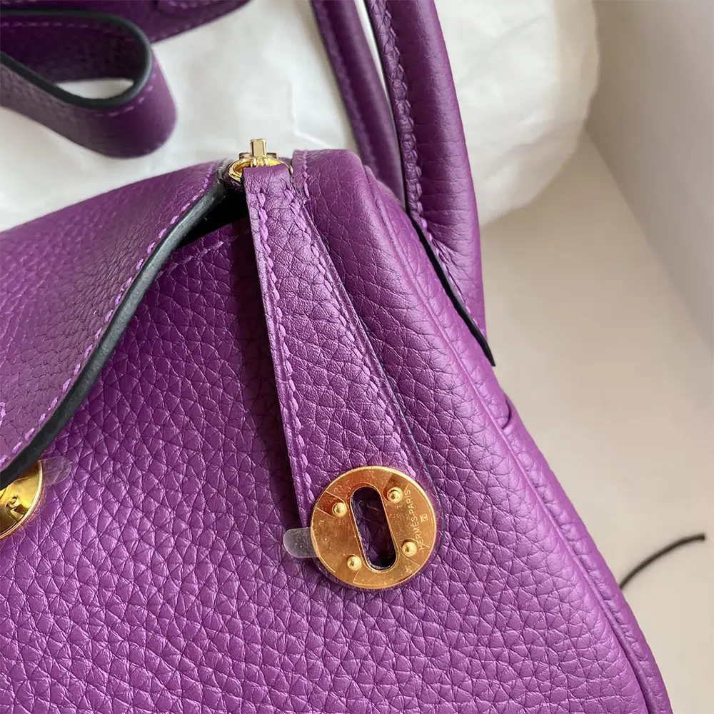 Hermes Women Lindy Mini 19 in Clemence Leather-Purple/Gold - image 9