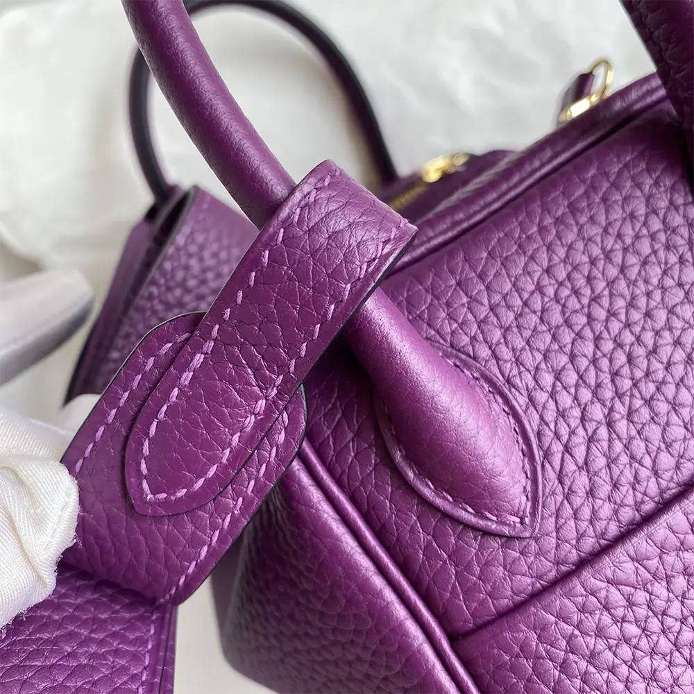 Hermes Women Lindy Mini 19 in Clemence Leather-Purple/Gold - image 8