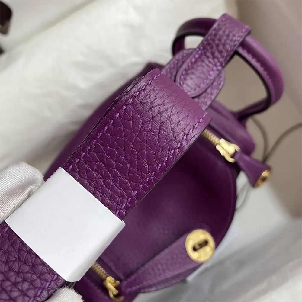 Hermes Women Lindy Mini 19 in Clemence Leather-Purple/Gold - image 5