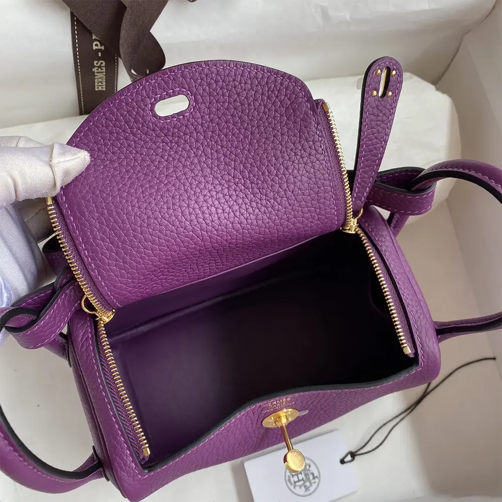 Hermes Women Lindy Mini 19 in Clemence Leather-Purple/Gold - image 10