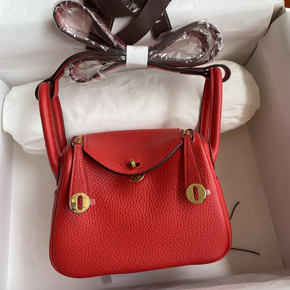 Close-up of gold hardware and stitching on Hermes Women Lindy Mini 19
