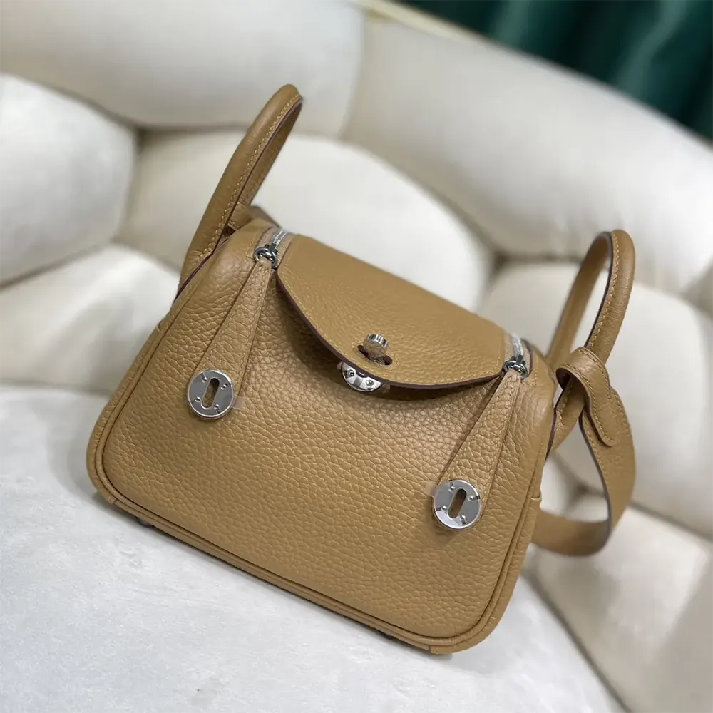 Close-up of silver hardware and leather texture on Hermes Lindy Mini 19