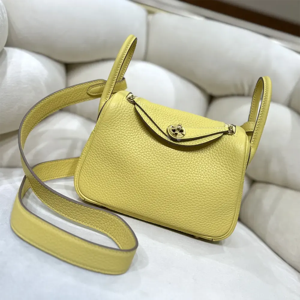 Close-up of gold hardware detail on Hermes Women Lindy Mini 19