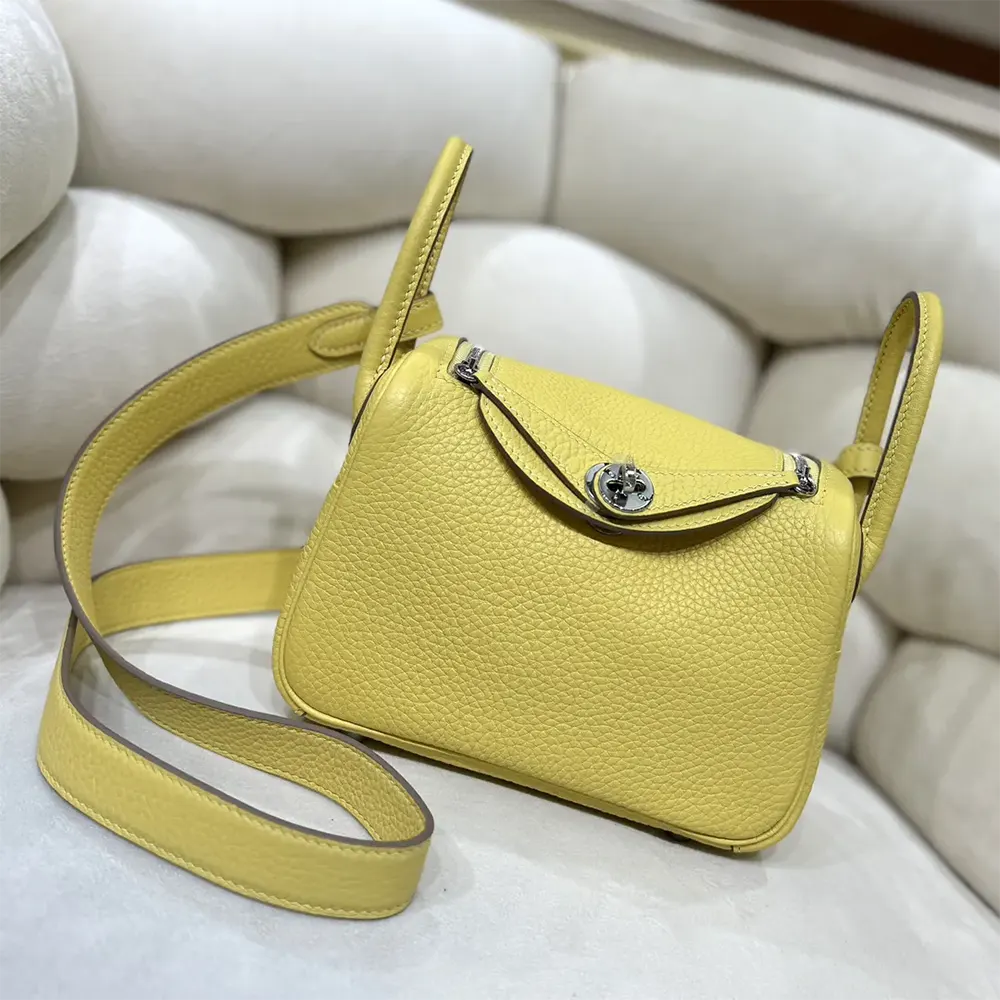 Close-up of silver hardware and textured Clemence leather on Lindy Mini 19