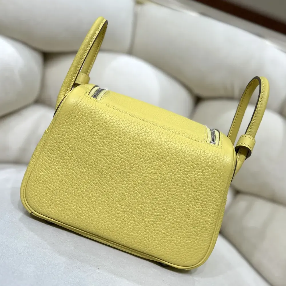 Side angle showing double handles on Hermes Women Lindy Mini 19 bag