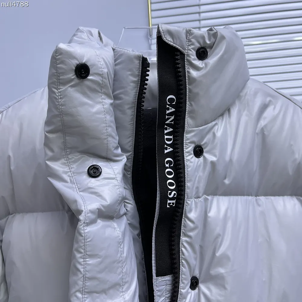 Canada Goose Women Cypress Cropped Puffer in Recycled Feather-Light Ripstop Shiny-Silverbirch - image 5