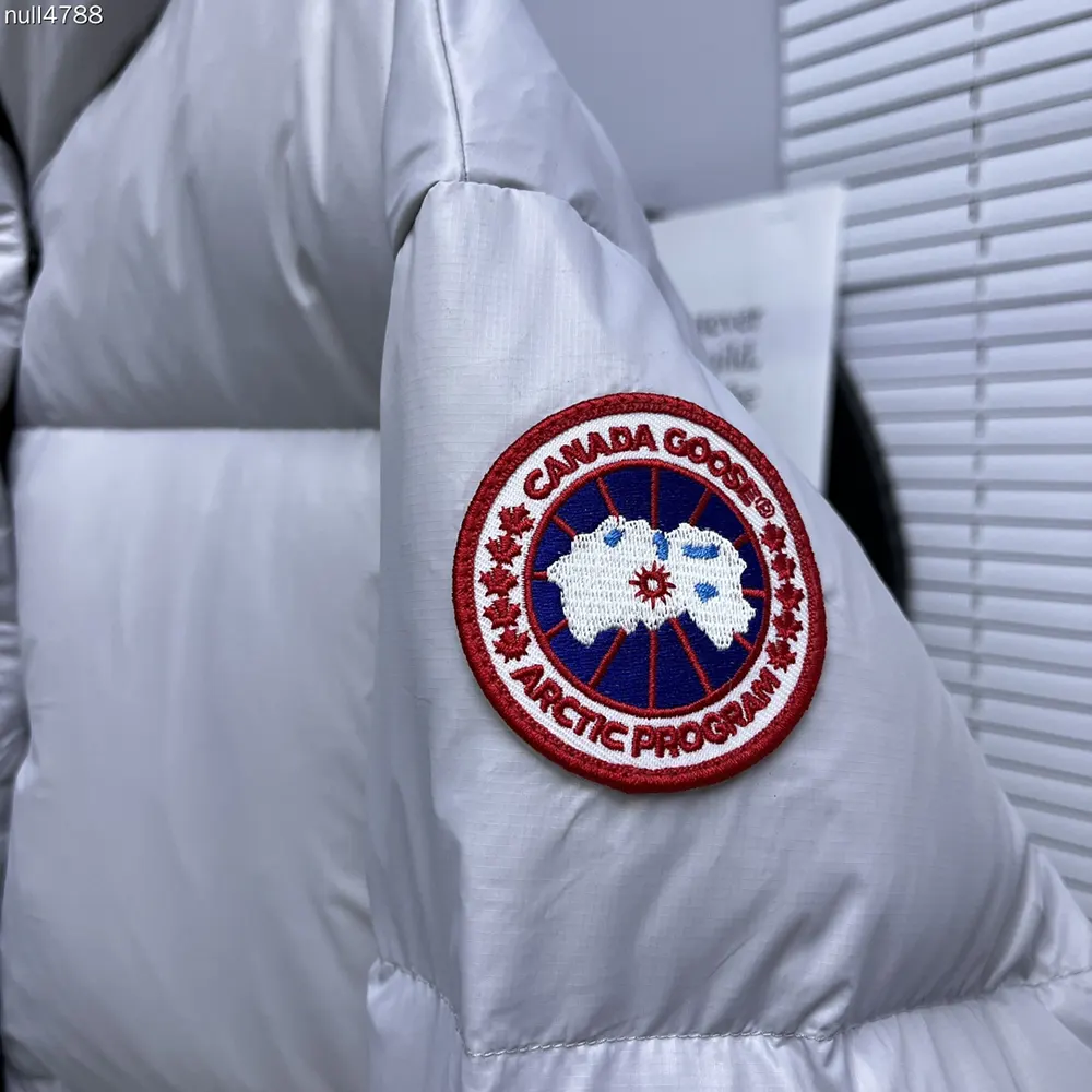 Canada Goose Women Cypress Cropped Puffer in Recycled Feather-Light Ripstop Shiny-Silverbirch - image 8