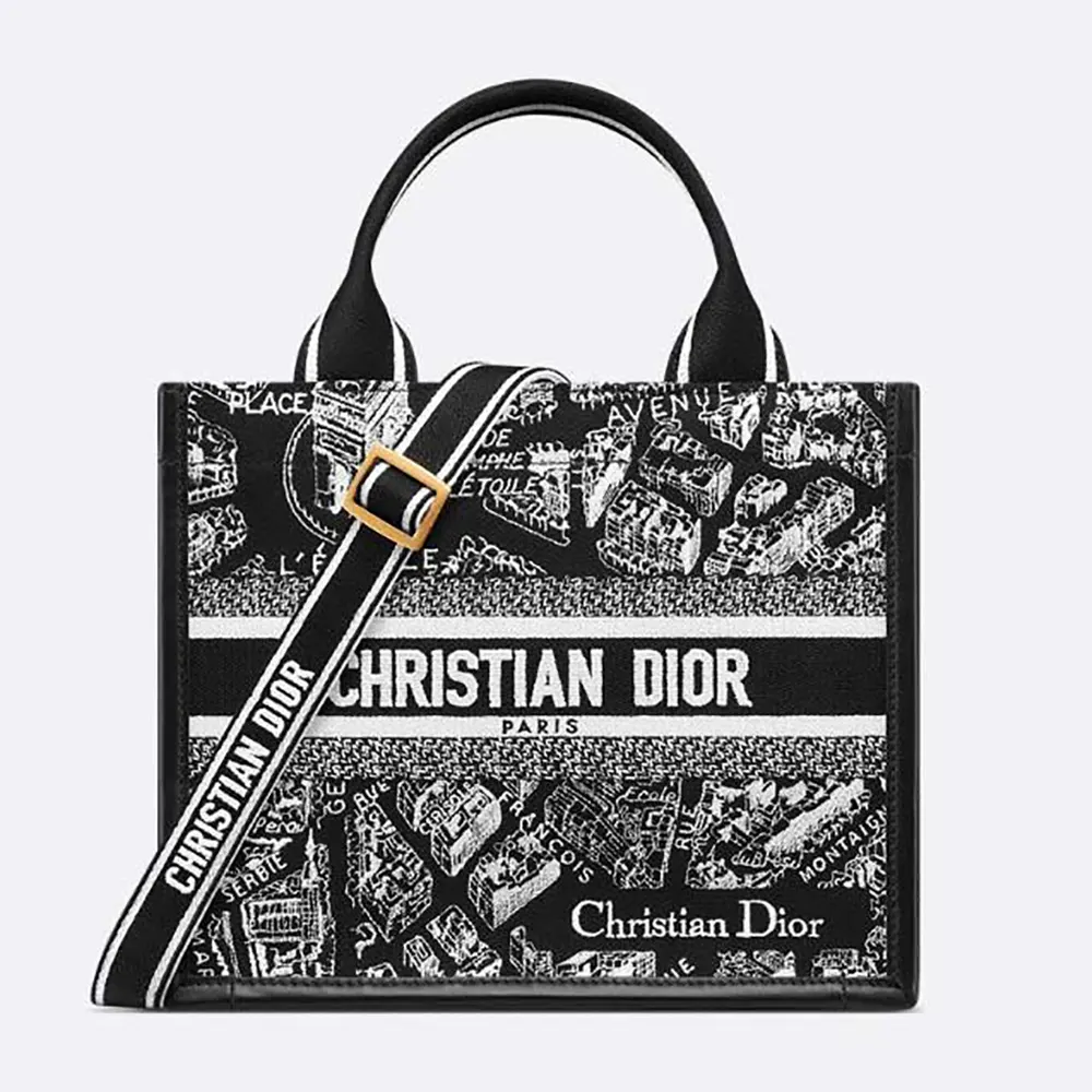 Front view of Dior Women Small Dior Book Tote with Plan de Paris embroidery