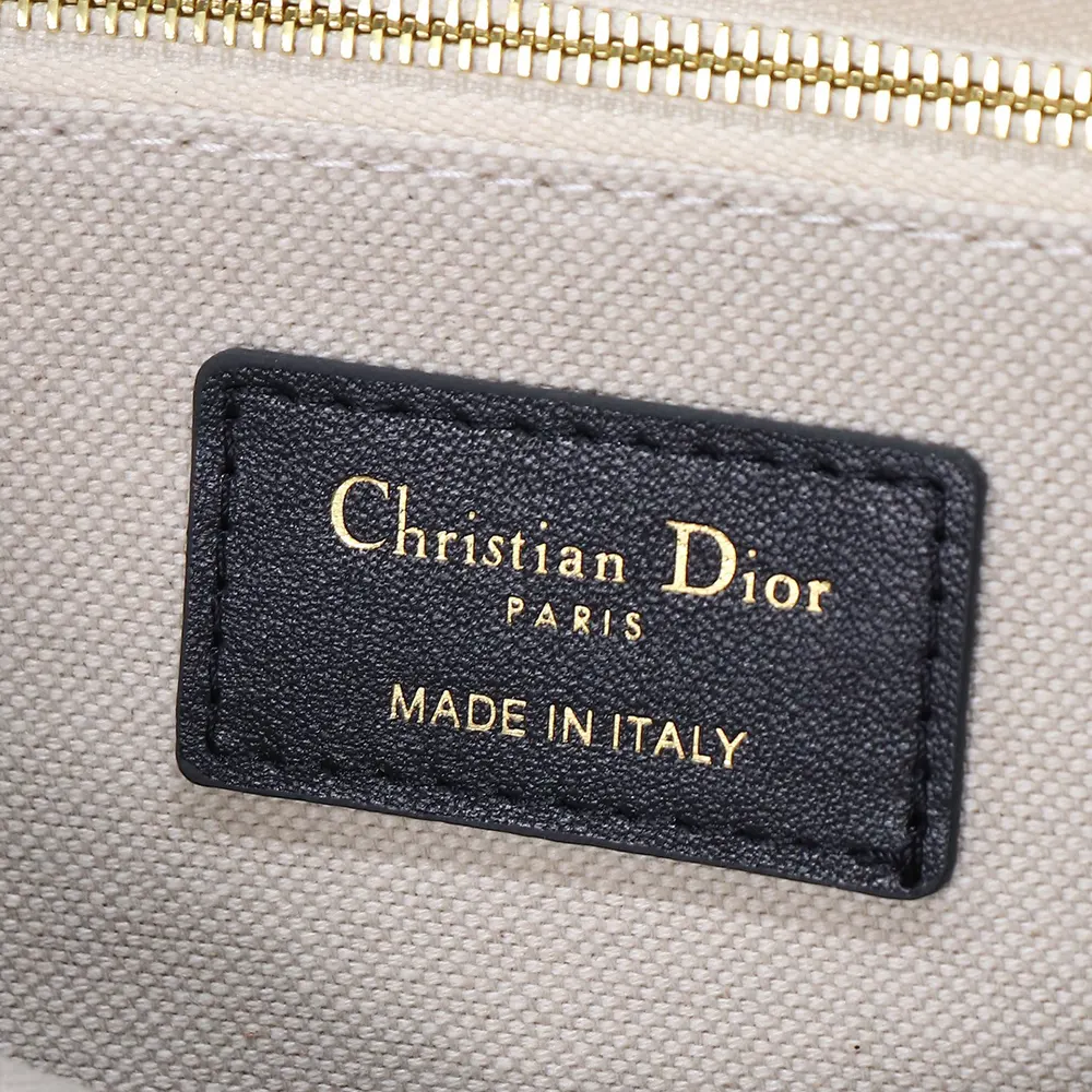 Dior Women Small Dior Book Tote White and Navy Blue Toile de Jouy Sauvage Embroidery - image 10