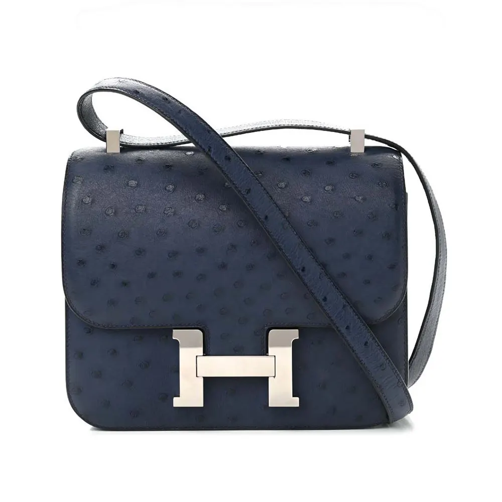 Front view of Hermes Women Constance 19 Bag Nata Ostrich Leather Navy Silver