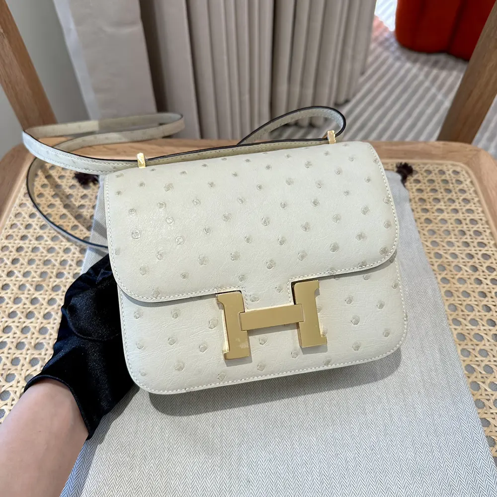 Close-up of gold H clasp on Hermes Women Constance 19 Bag