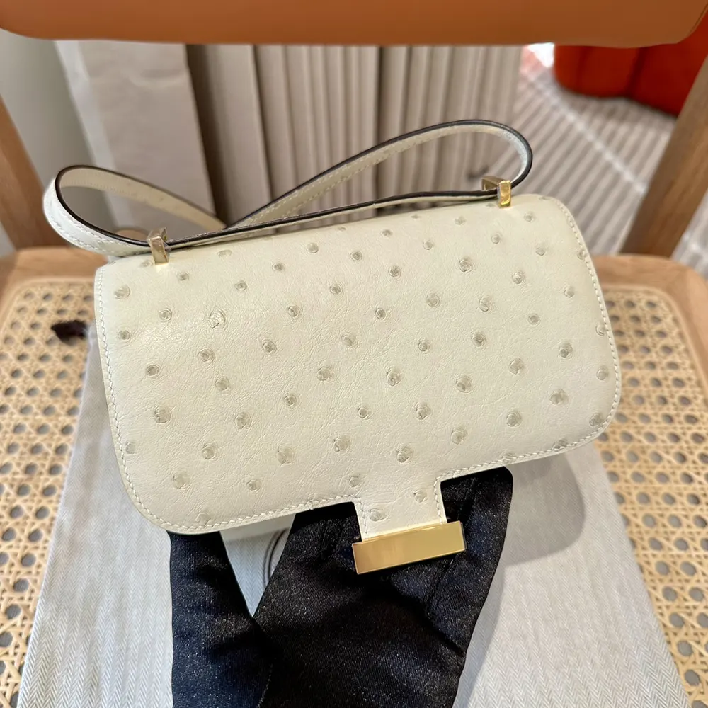 Hermes Women Constance 19 Bag Nata Ostrich Leather-White/Gold - image 4