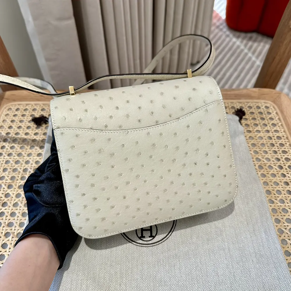 Side angle showing white ostrich leather texture of Hermes Women Constance 19 Bag