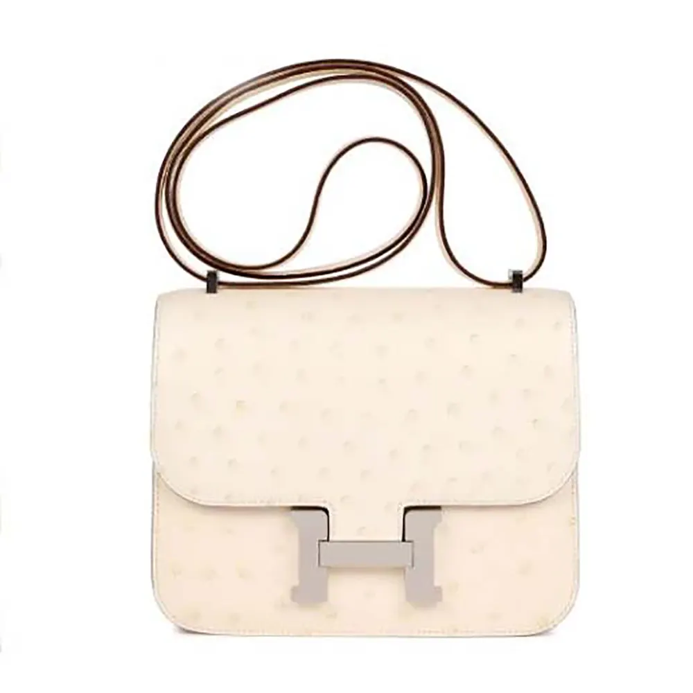 Front view of Hermes Women Constance 19 Bag Nata Ostrich Leather-White/Silver