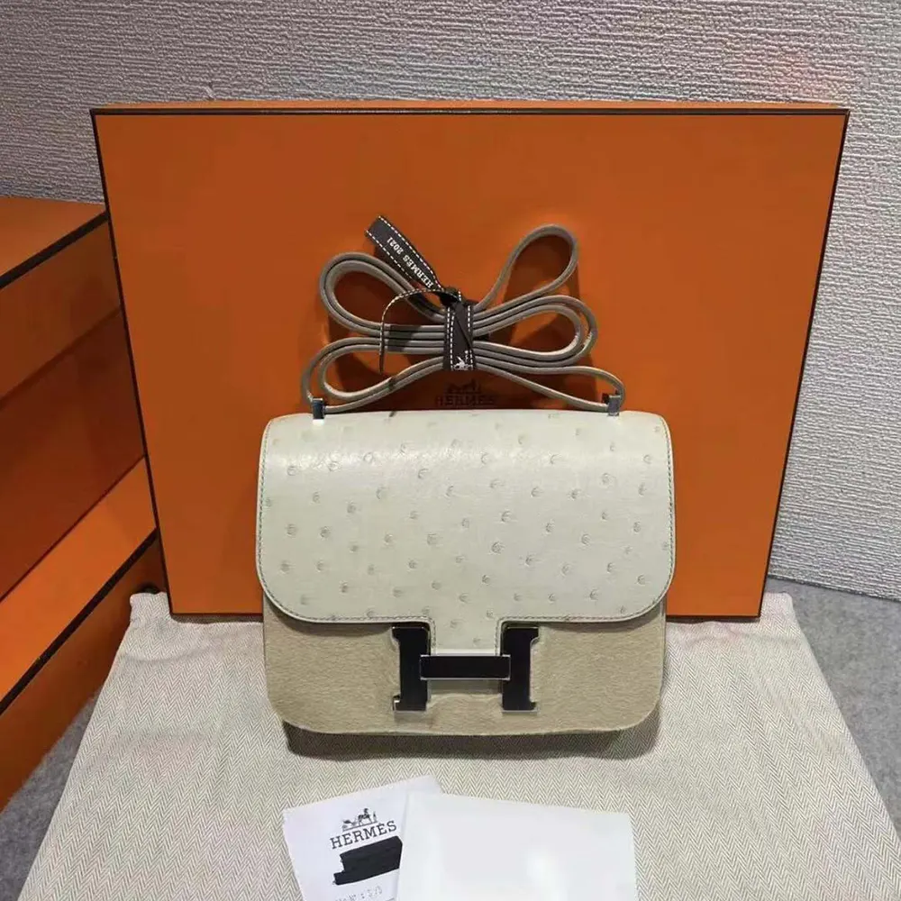 Close-up of silver H clasp on Hermes Women Constance 19 Bag Nata Ostrich Leather-White/Silver
