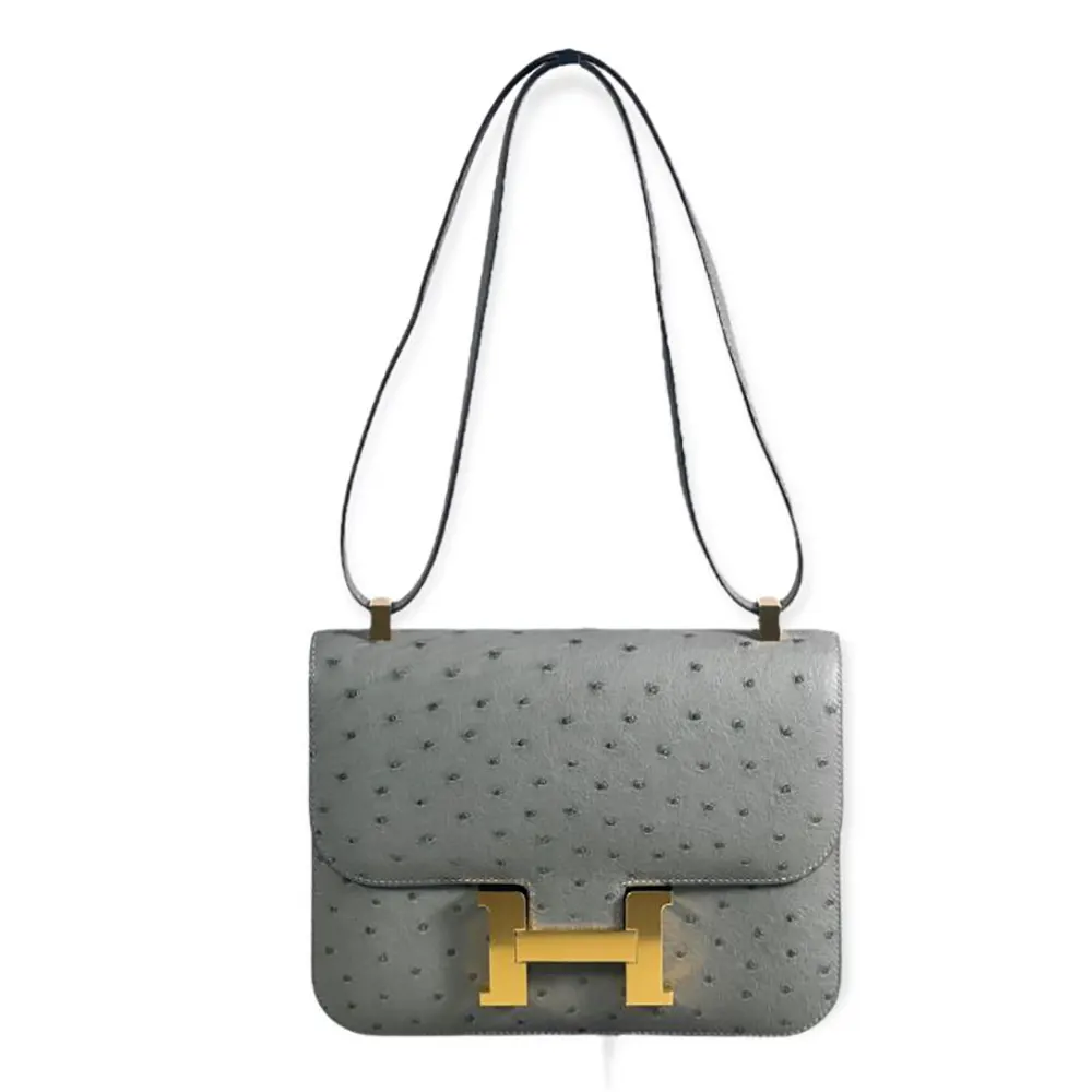 Front view of Hermes Women Constance 24 Bag Nata Ostrich Leather Silver Gold