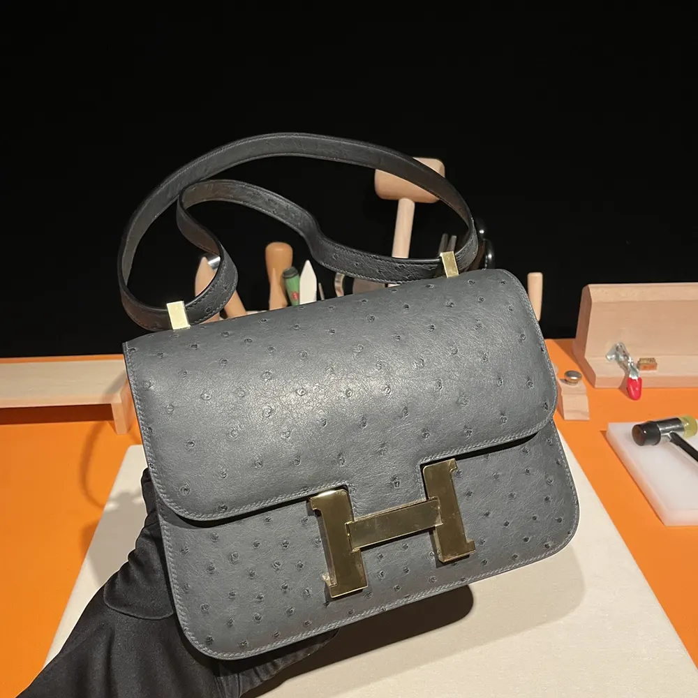 Hermes Women Constance 24 Bag Nata Ostrich Leather-Silver/Gold - image 5