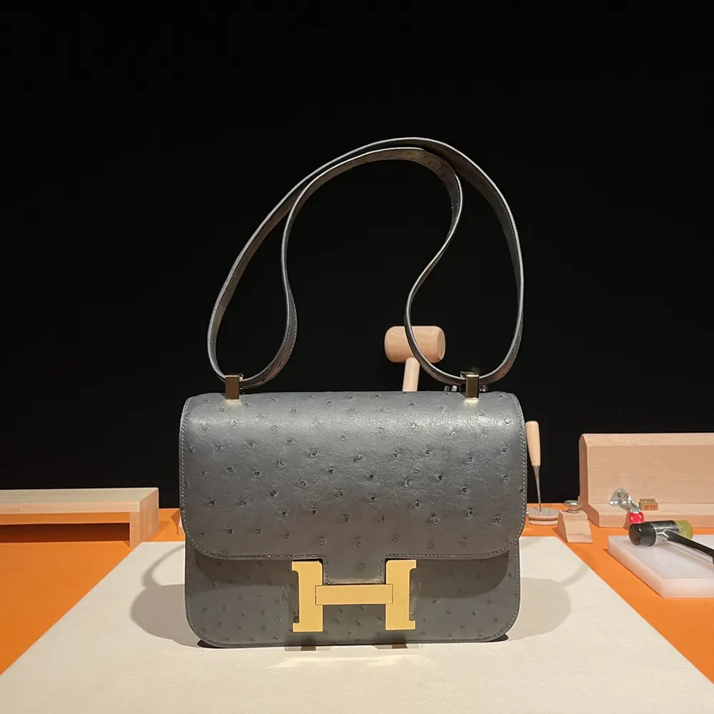 Close-up on signature Constance H clasp of Hermes Women Constance 24 Bag