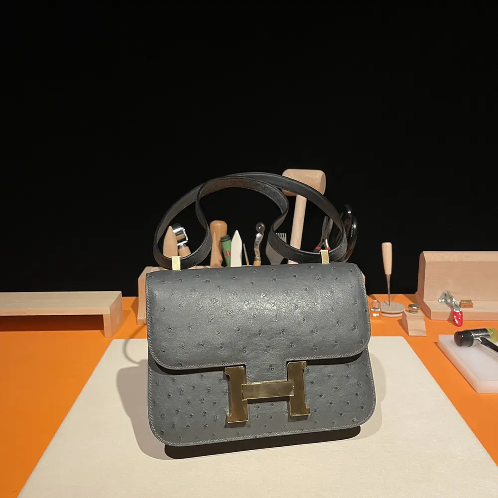 Hermes Women Constance 24 Bag Nata Ostrich Leather-Silver/Gold - image 4