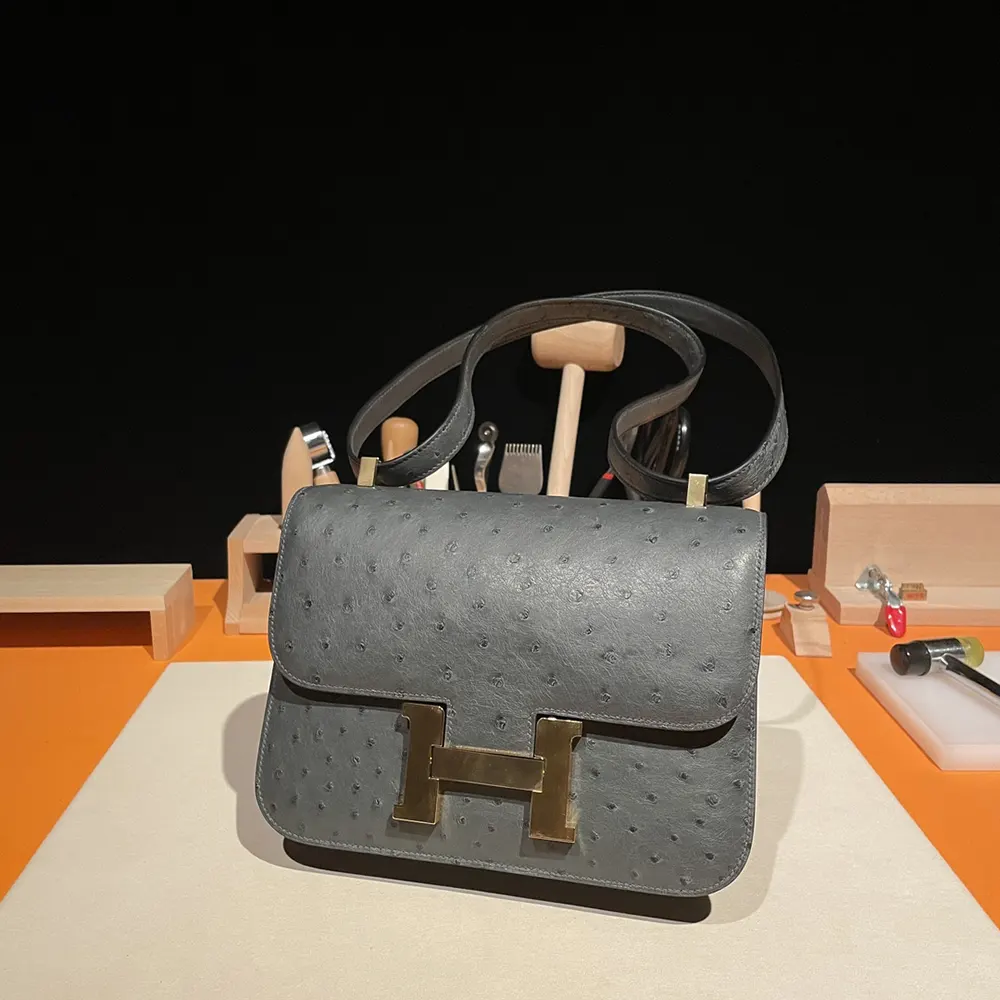Side profile highlighting texture of Hermes Women Constance 24 Bag Ostrich Leather