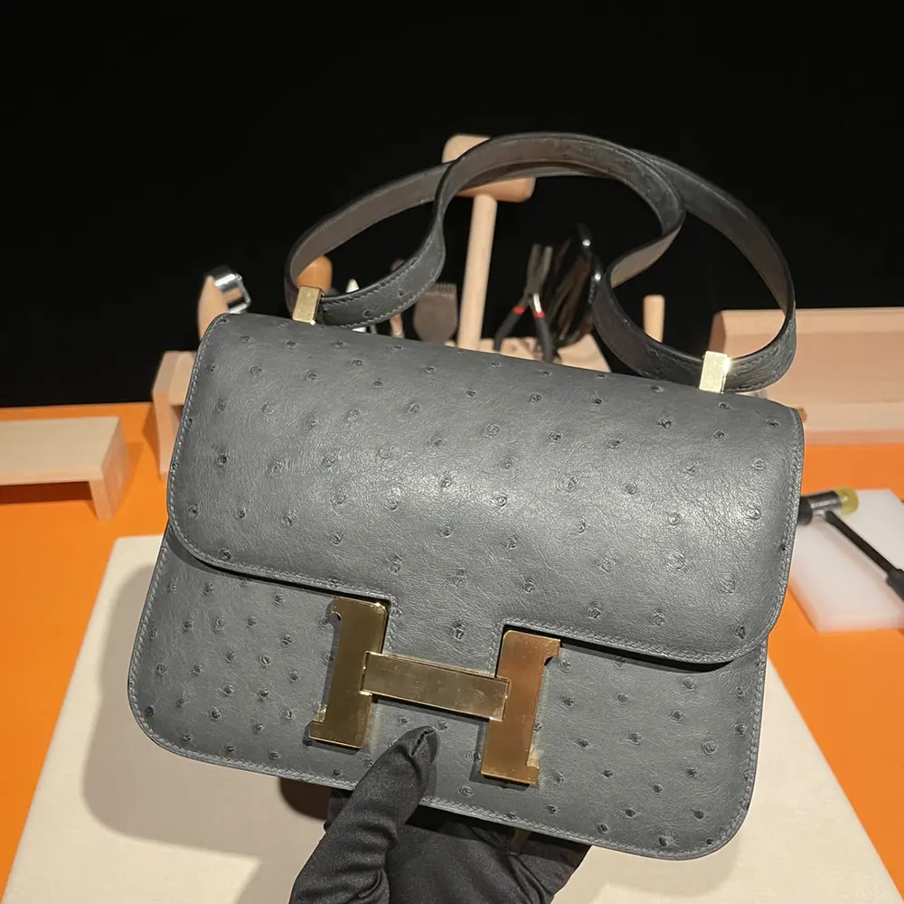 Hermes Women Constance 24 Bag Nata Ostrich Leather-Silver/Gold - image 6