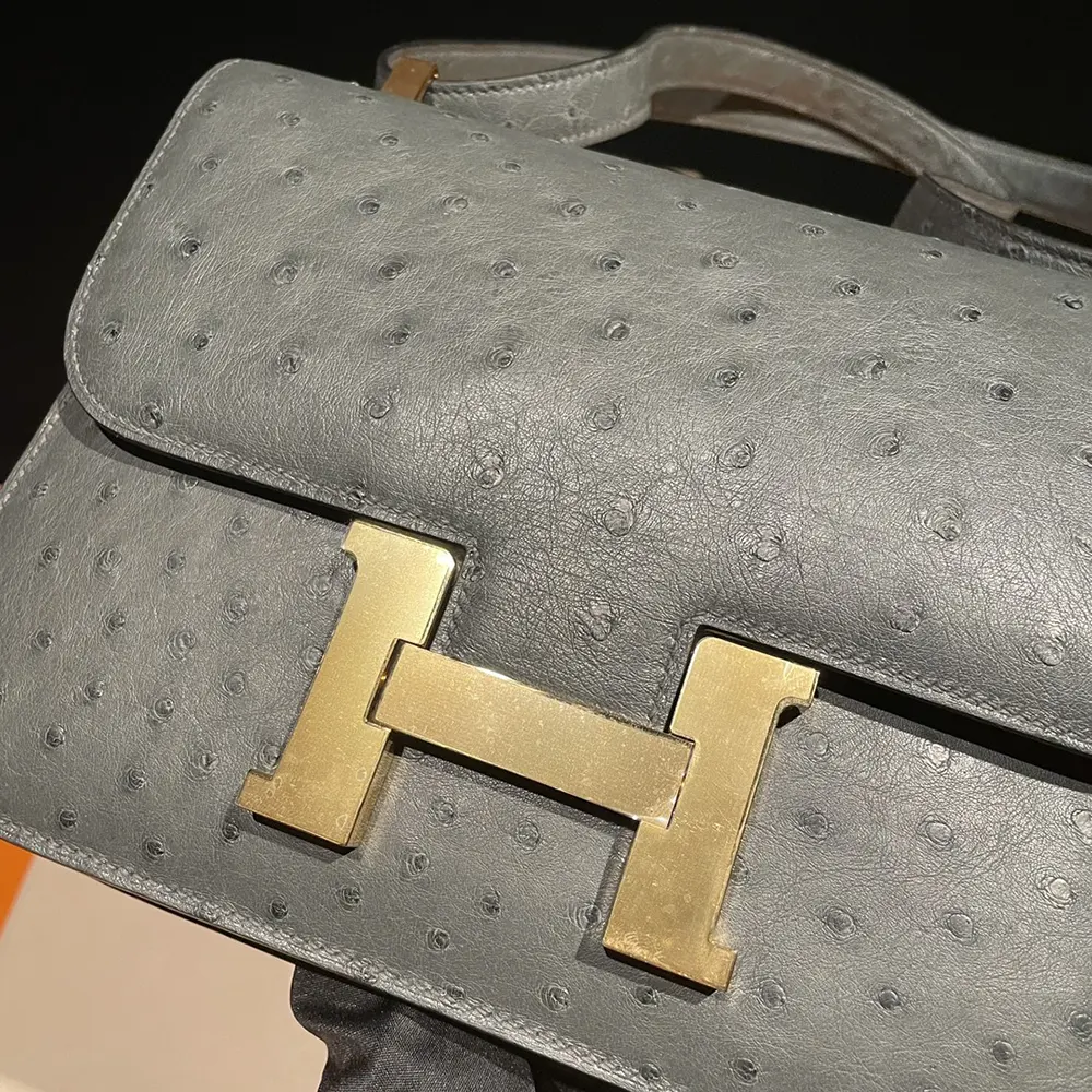 Hermes Women Constance 24 Bag Nata Ostrich Leather-Silver/Gold - image 13