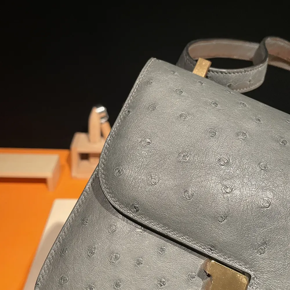 Hermes Women Constance 24 Bag Nata Ostrich Leather-Silver/Gold - image 12