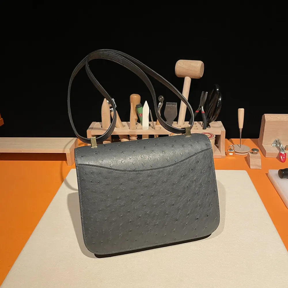 Hermes Women Constance 24 Bag Nata Ostrich Leather-Silver/Gold - image 7