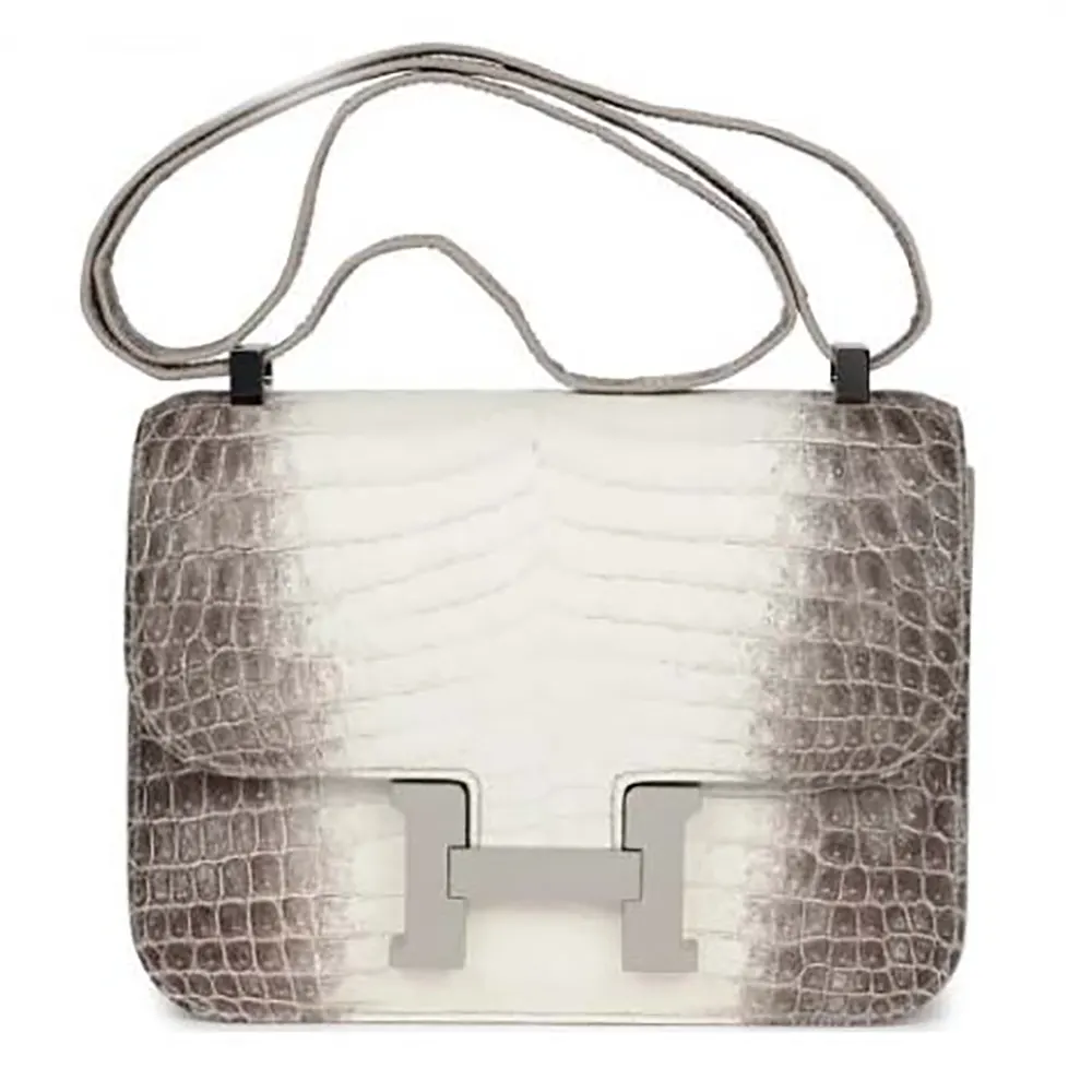 Front view of Hermes Women Constance 24 Himalaya Matte Niloticus Crocodile Palladium Hardware