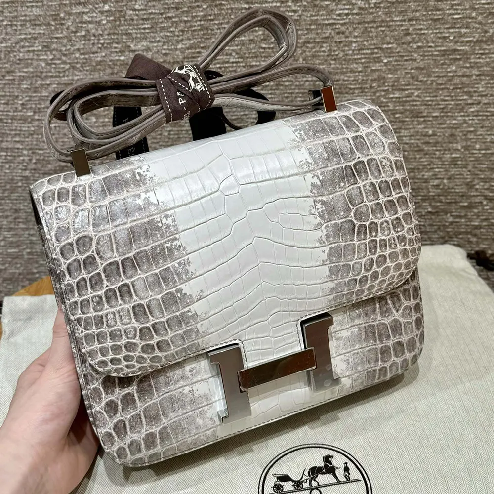 Close-up of palladium clasp on Hermes Women Constance 24 Himalaya bag