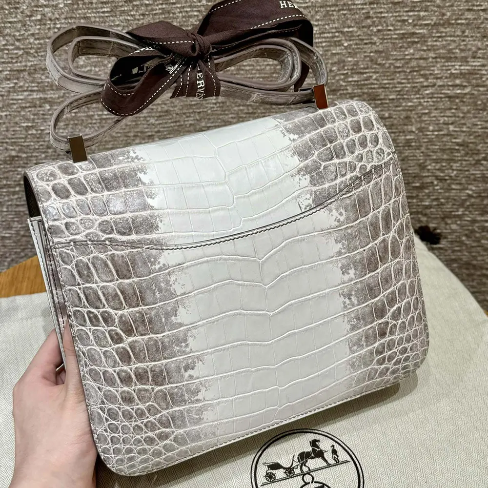 Side angle showing matte Niloticus crocodile texture on Hermes Women Constance 24
