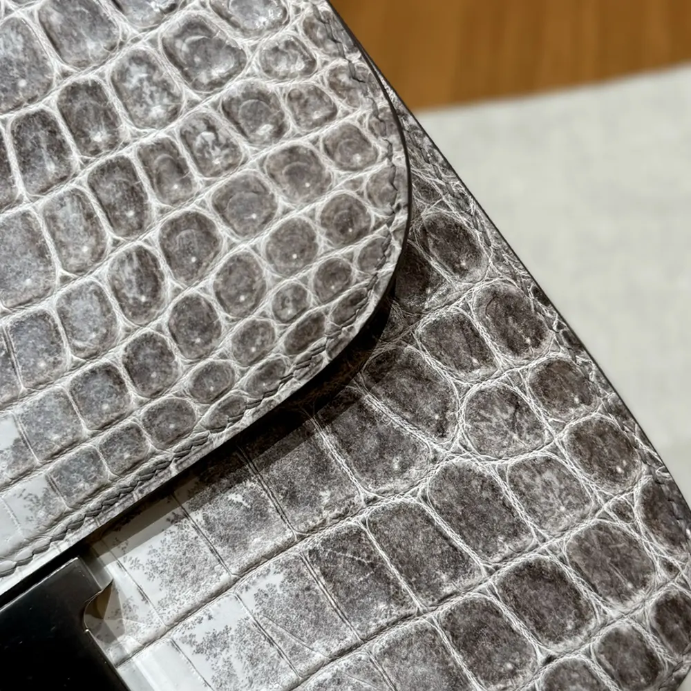 Hermes Women Constance 24 Himalaya Matte Niloticus Crocodile Palladium Hardware - image 8