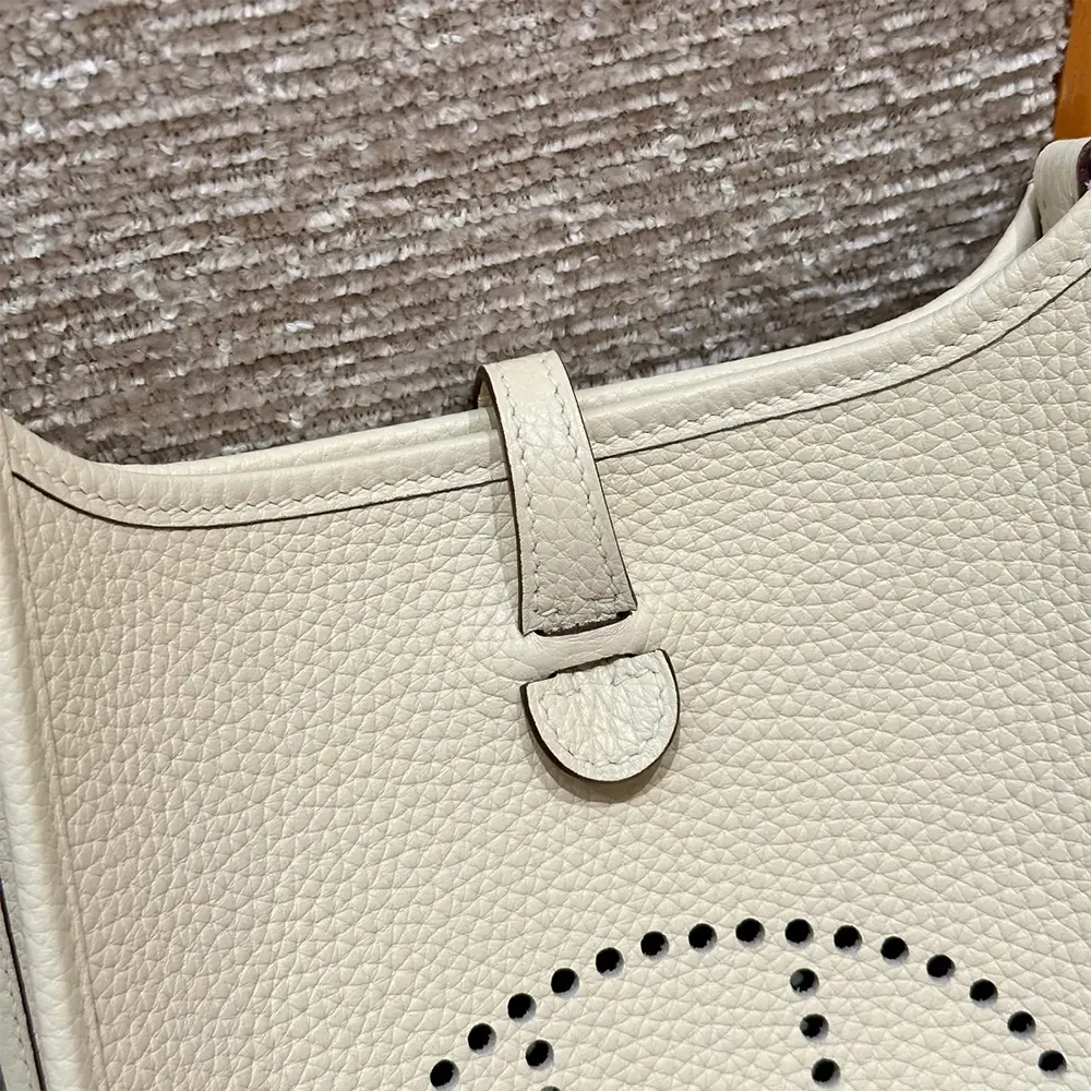 Hermes Women Evelyne 16 Amazone in Clemence Leather-White/Silver - image 7