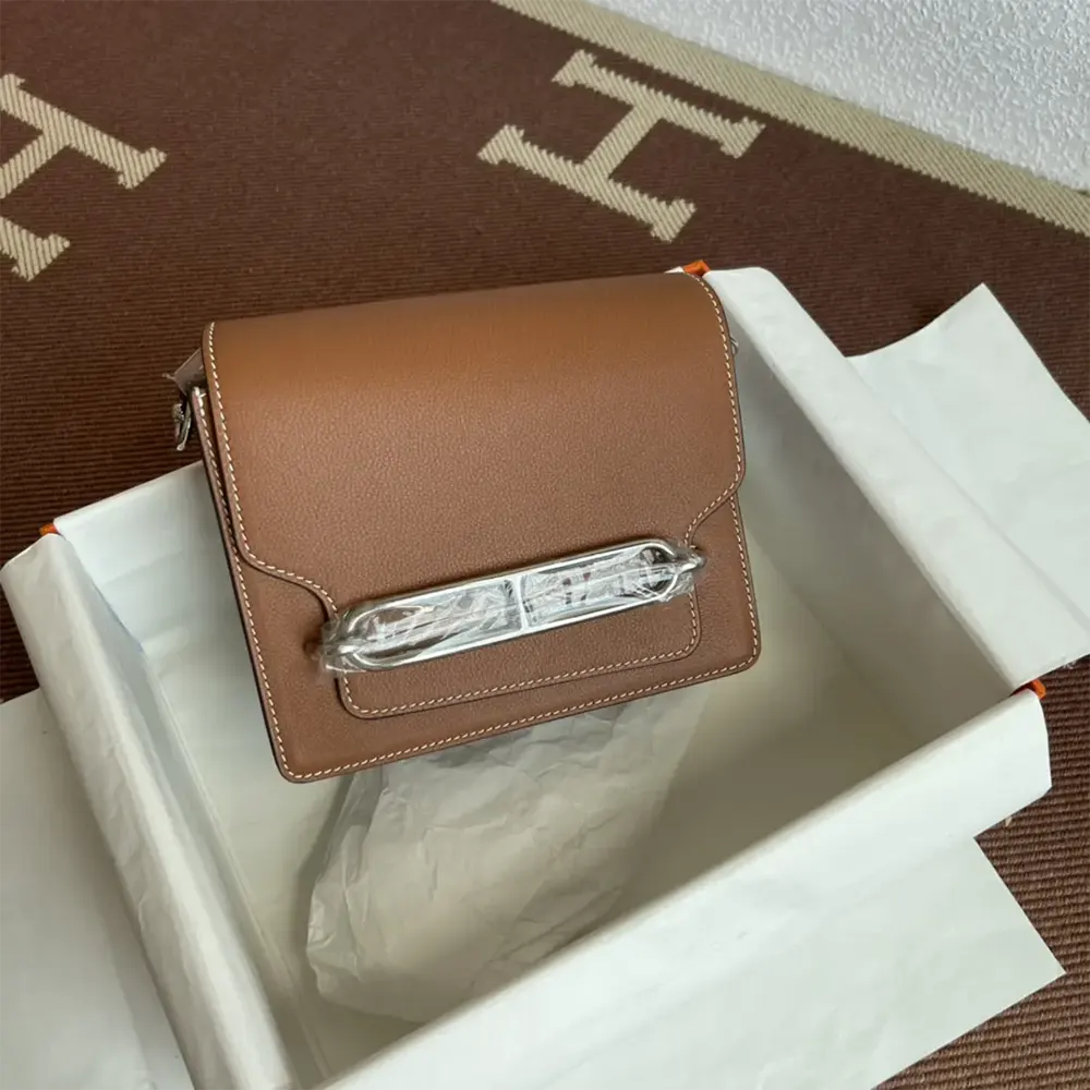 Hermes Women Roulis Mini Bag in Evercolor Calfskin-Brown/Silver - image 4
