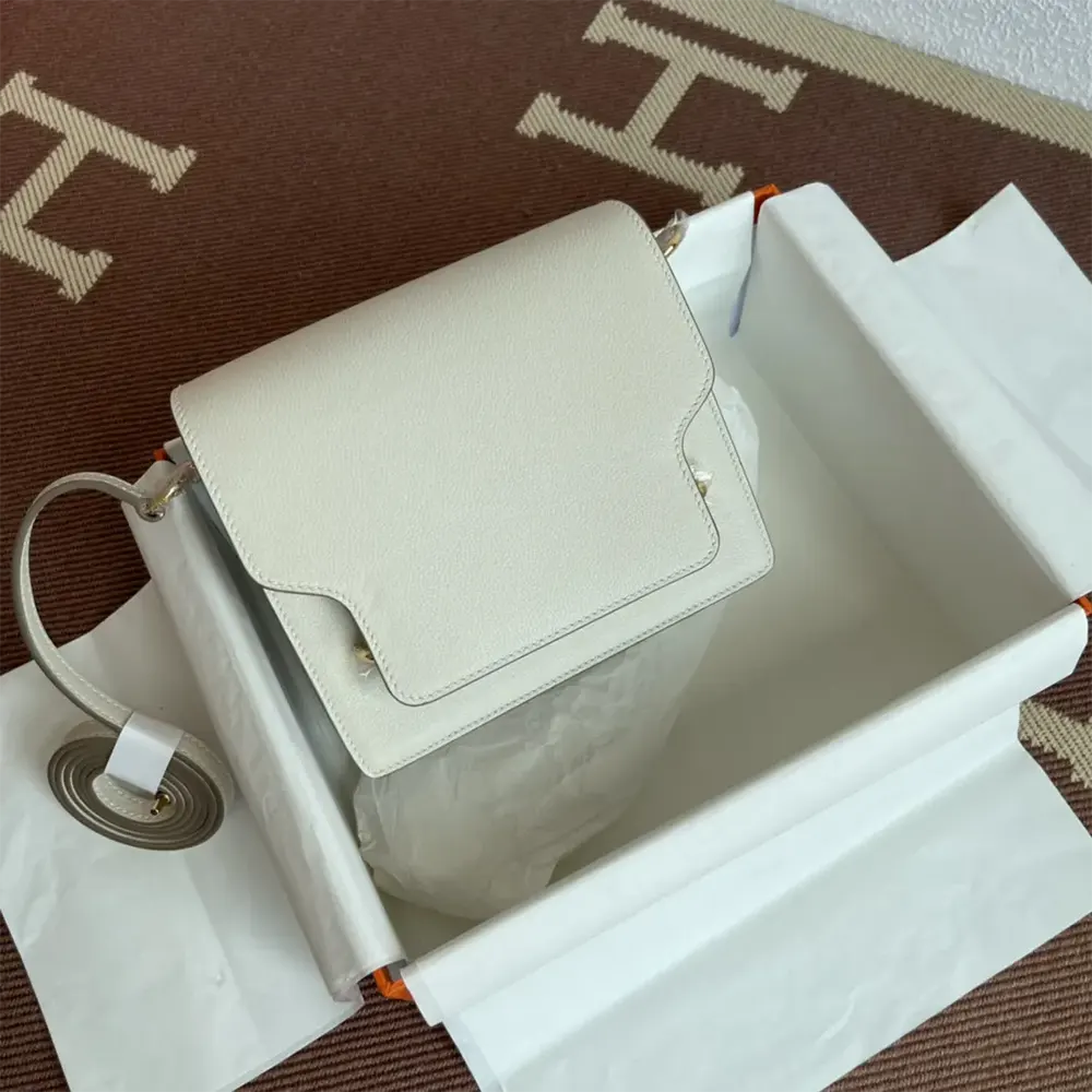 Hermes Women Roulis Mini Bag in Evercolor Calfskin-White/Gold - image 6