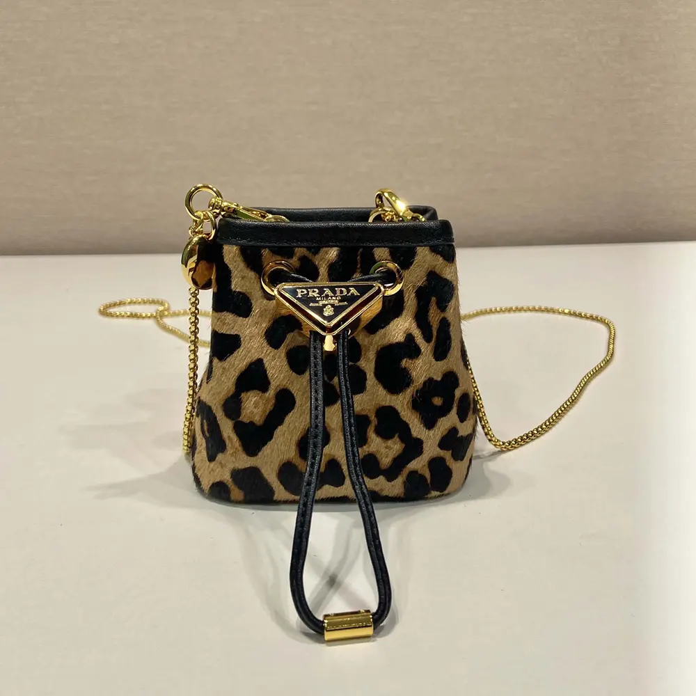 Close-up of silver-tone hardware on Prada Women Printed Leather Mini Pouch