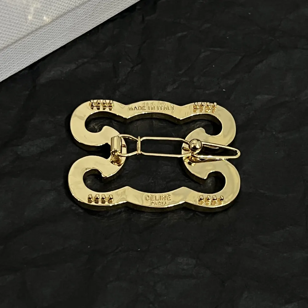 Celine Women Triomphe Frame Sparkle Brooch in Strass Brass with Gold Finish and Steel - image 6