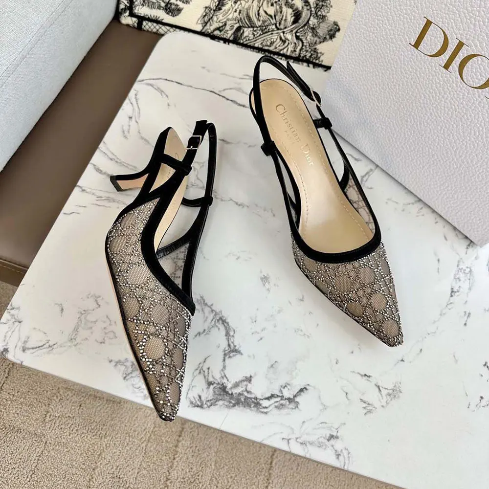 Top angle showing transparent mesh and slingback strap on Dior Women Capture Pump