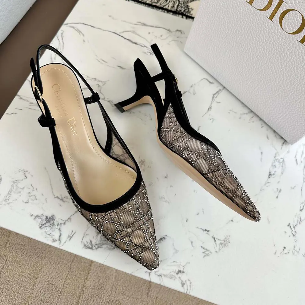 Dior Women Capture Slingback Pump Transparent Mesh with Silver-Tone Strass Cannage Motif - image 5