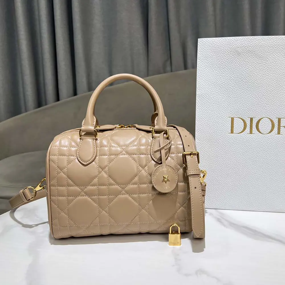 Close-up on gold hardware clasp of Dior Women Groove 25 Bag