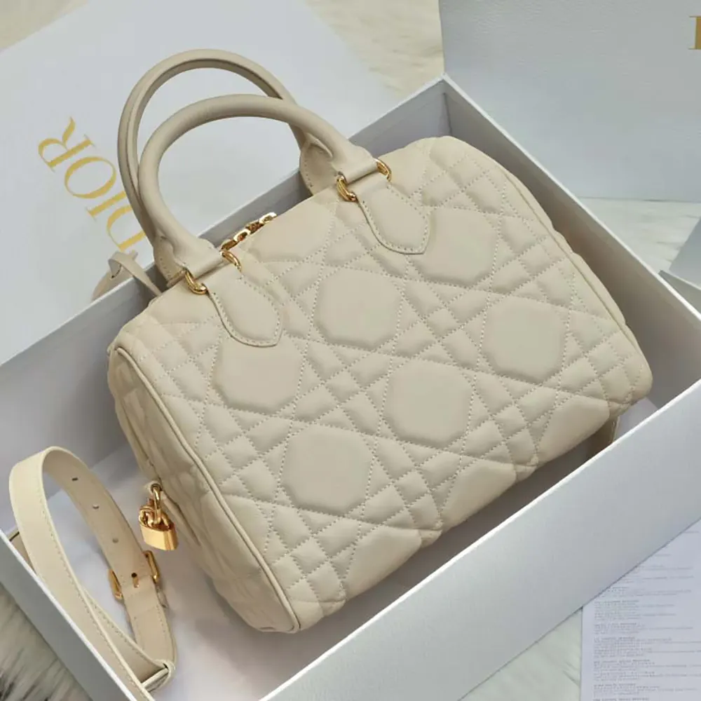 Side angle showing adjustable strap and smooth calfskin of Dior Women Groove 25 Bag