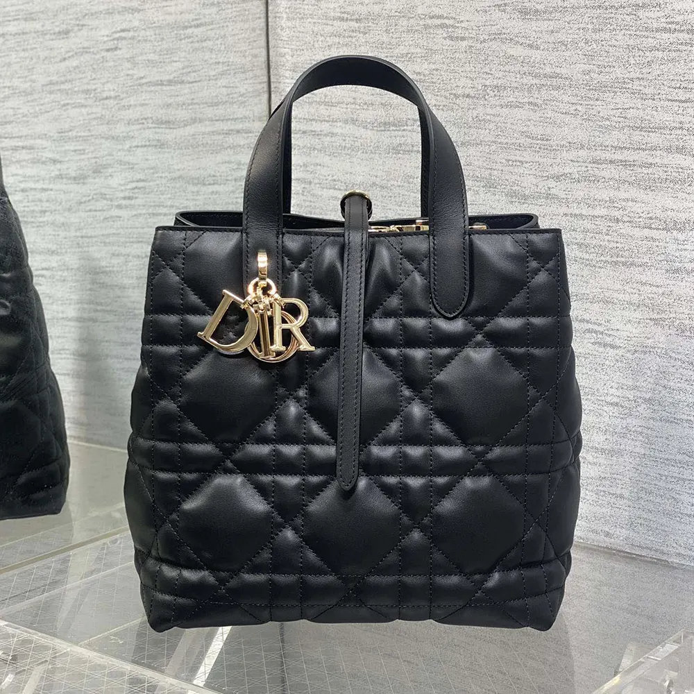 Side profile showing structured silhouette of Dior Women Medium Dior Toujours Vertical Tote Bag