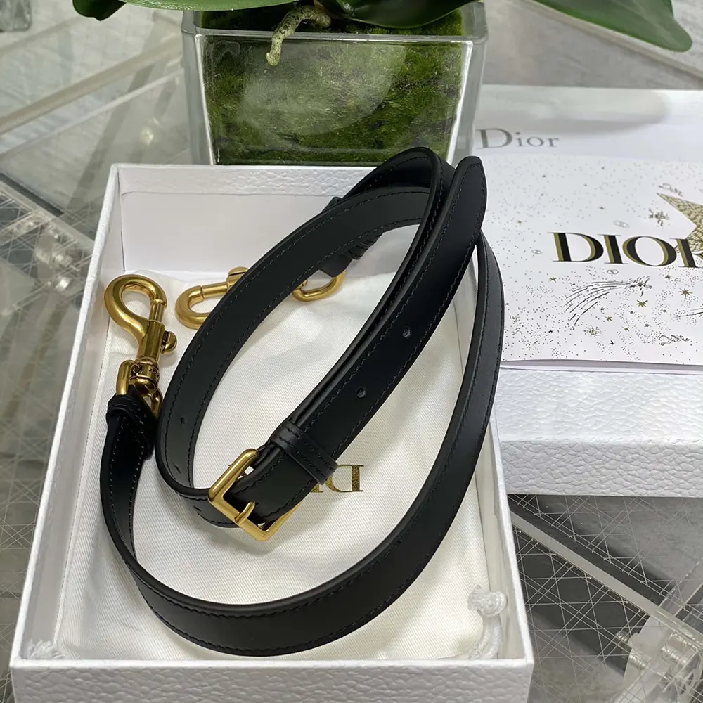 Dior Women Mini Saddle Bag with Strap Black Grained Calfskin - image 10