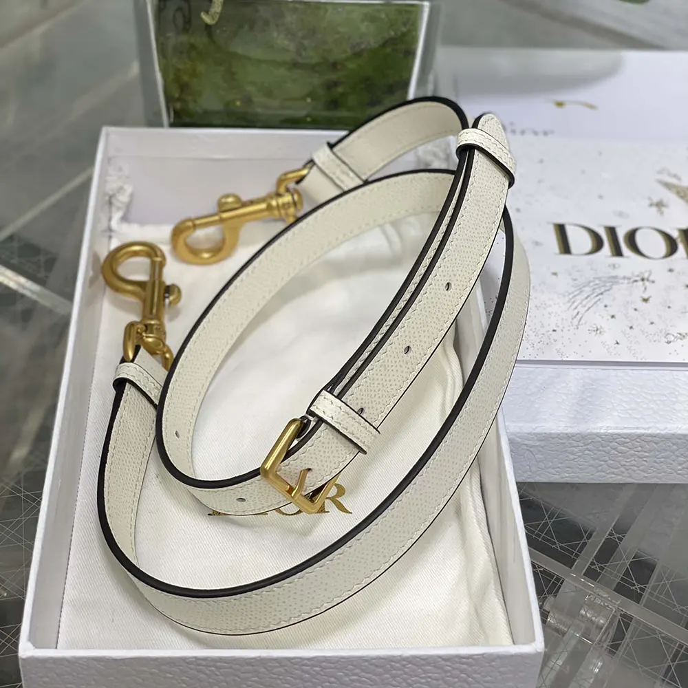 Dior Women Mini Saddle Bag with Strap Latte Grained Calfskin - image 10